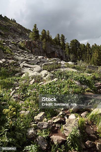 山のハイキングコース - アルタイ山脈のストックフォトや画像を多数ご用意 - アルタイ山脈, アルタイ自然保護区, コンセプト