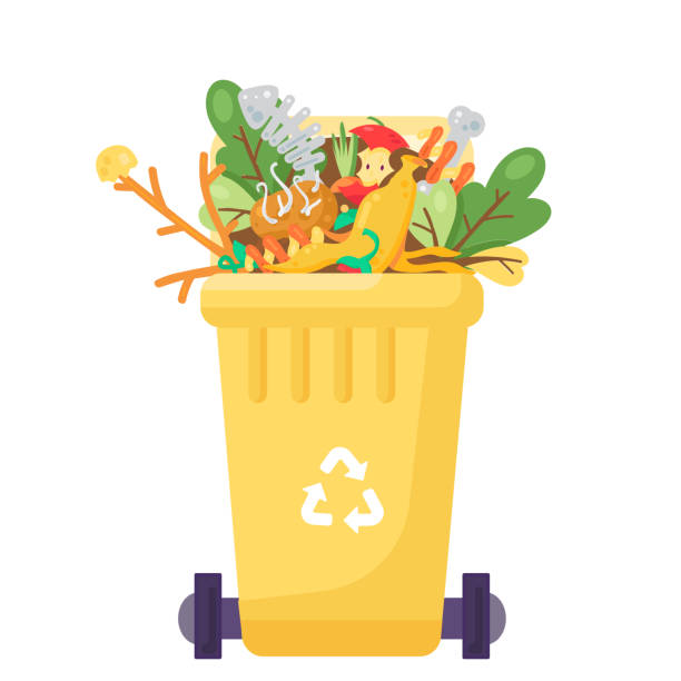 Overflowing Transportable Organic Waste Container Open lid fulled container for storing, recycling and sorting used household organic waste. Transportable trash bin for leftover food, vegetables and fruits. Cartoon isolated vector overflowing trash dumpster stock illustrations