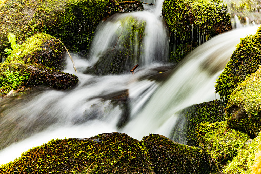 Waterfall cascading over the rocks in the Great Smoky Mountains National Park