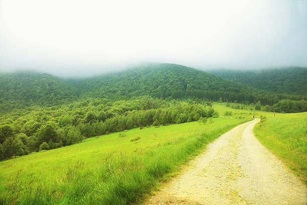 Beautiful summer landscape in the mountains. Pathway through the grassy hills Bieszczady Poland