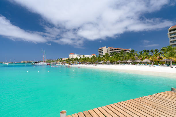 istock Palm trees and Palapas on Palm Beach, Aruba 1802605285