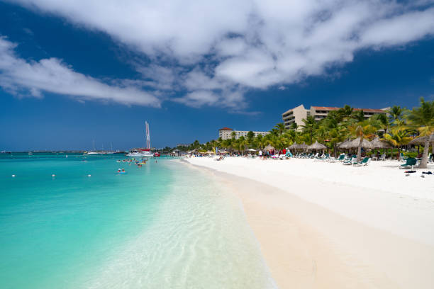 Experience the tranquility of Palm Beach, Noord, Aruba where palm trees sway gently in the warm breeze.