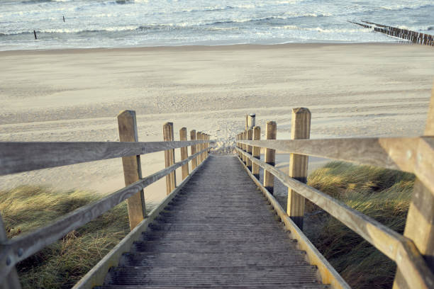 istock wooden stairway through grass in a dune at a beach, top down view 1802618162