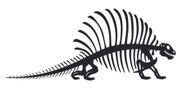 Vector illustration of Cartoon dino skeleton. Dinosaur fossil bones silhouette. Ancient Jurassic reptile flat vector illustration on white background