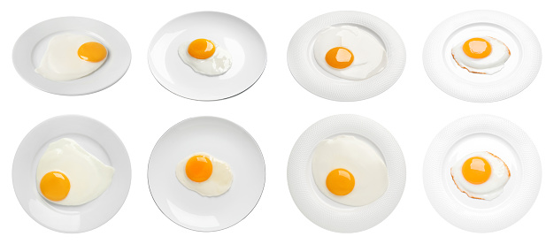 Egg. Similar photographs from my portfolio: