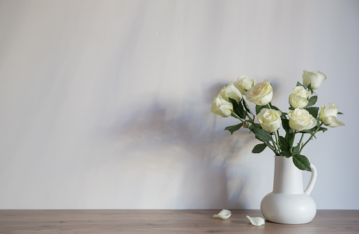 White chrysanthemums and gypsophila  flower in white vase on gray interior. Minimalist still life. Light and shadow nature horizontal background.