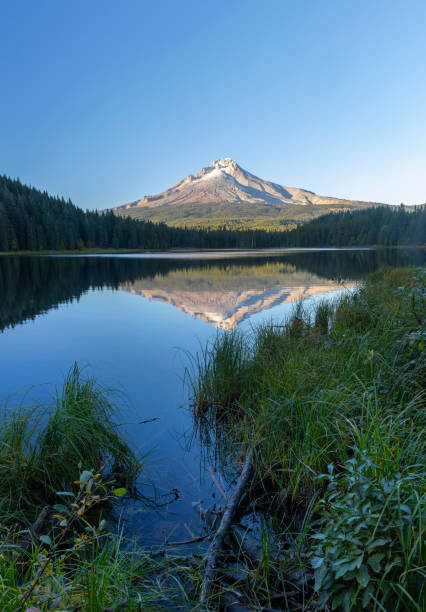 istock Trillium Lake Mt Hood Oregon. 1802690860