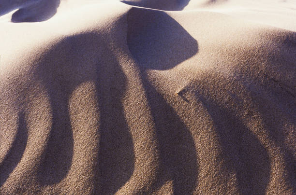 Close-up of wind cause pattens on coastal sand dunes, along the Pacific Ocean shore.\n\nTaken in Santa Cruz, California, USA