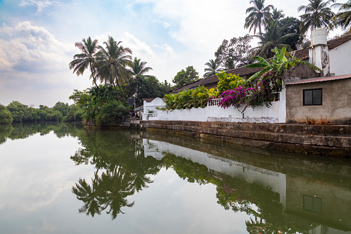 This image highlights the Char Manos Heritage Culvert, a lesser-known yet historically significant structure located in Goa, India. The culvert, characterized by its aged stone construction, stands as a relic of Goa's past, showcasing the region's old engineering and architectural practices. In the photograph, the culvert is captured amidst lush greenery, representing a blend of natural beauty and historical intrigue. The image aims to bring attention to this hidden gem, emphasizing its rustic charm and the quiet story it tells of a bygone era in Goan history. The Char Manos Heritage Culvert serves not just as a functional structure but as a symbol of the rich cultural and historical tapestry that defines Goa.