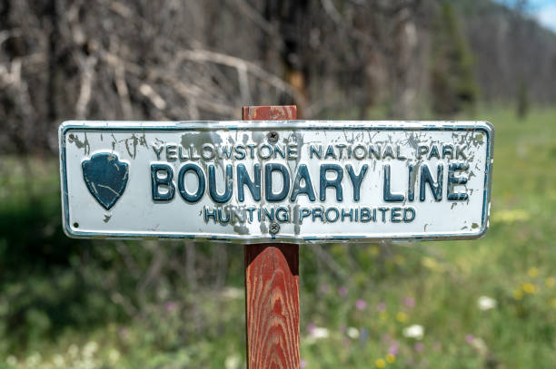 Boundary Sign In Yellowstone National Park on the Bacon Rind Trail