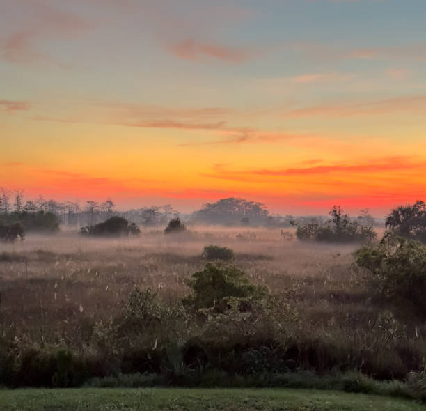 istock Bright Sunrise and Light Fog Over The Everglades 1802697718
