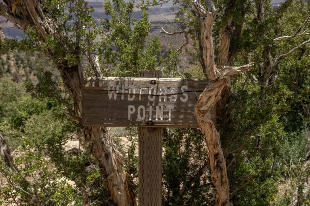 Photo of Cracking Widforss Point Sign On The North Rim of Grand Canyon
