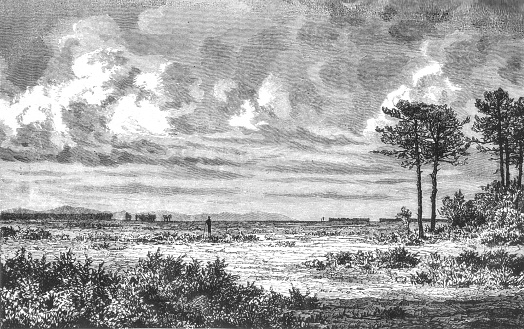 View of the Landes, old vintage illustration, 1898