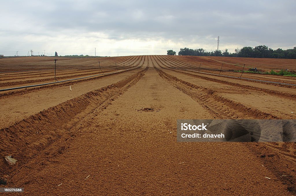 Свежие plowed сельскохозяйственной области готовы для Насаждения - Стоковые фото Без людей роялти-фри