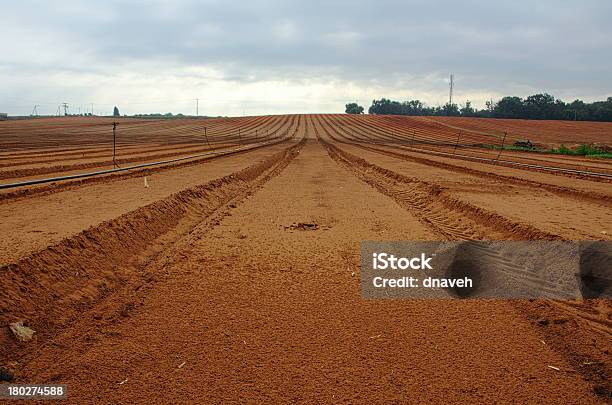 Свежие Plowed Сельскохозяйственной Области Готовы Для Насаждения — стоковые фотографии и другие картинки Без людей