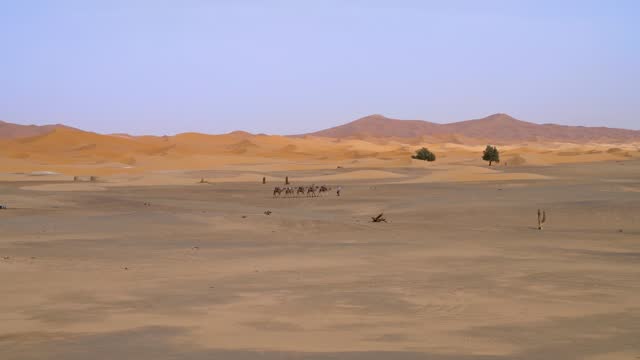 Unidentified Berber men leading a camel caravan