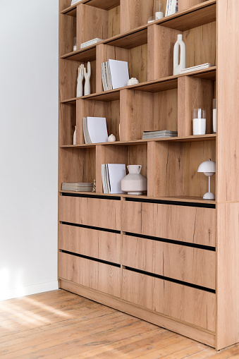 Design of wooden furniture for living room. Side view of bookcase with books, magazines and home decor at open shelves in cabinet. Literature on rack in office close to copy space wall on background