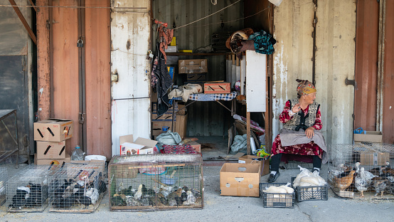 Osh, Kyrgyzstan - May 2022: Old woman selling chicken and roosters in cages in a local food bazaar