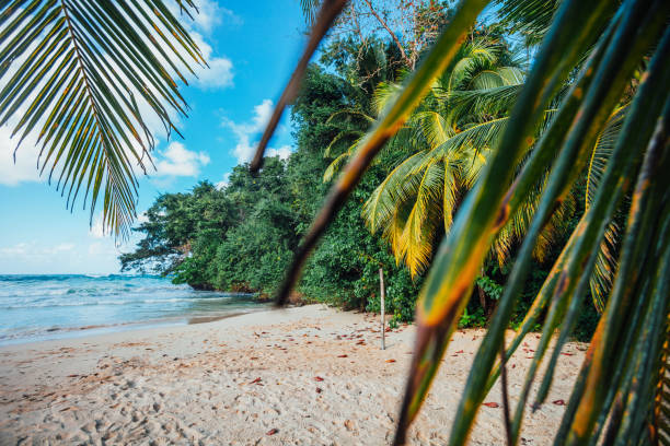 Caribbean beach - Jamaica stock photo