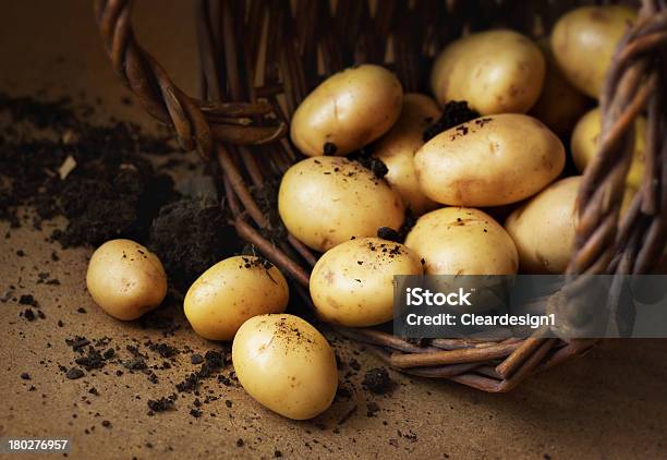 Ziemniaki W Wiklina Kosz Z Gleby - zdjęcia stockowe i więcej obrazów Bez ludzi - Bez ludzi, Chata, Ciemny