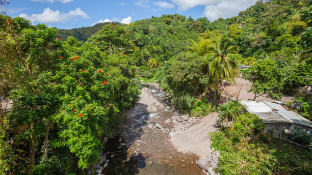 Jungle hills and river - Jamaica stock photo