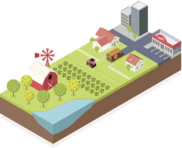 Vector illustration of Isometric, Farm and City