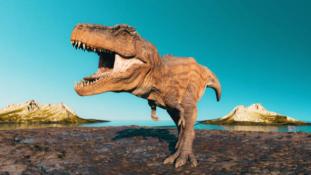 Tiranossauro Rex Dinossauro ruge enquanto se move através da lama - foto de acervo