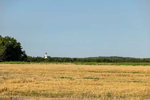 a field with stubble from wheat and the dome of the church in the background, part of the old church behind the forest and field in summer
