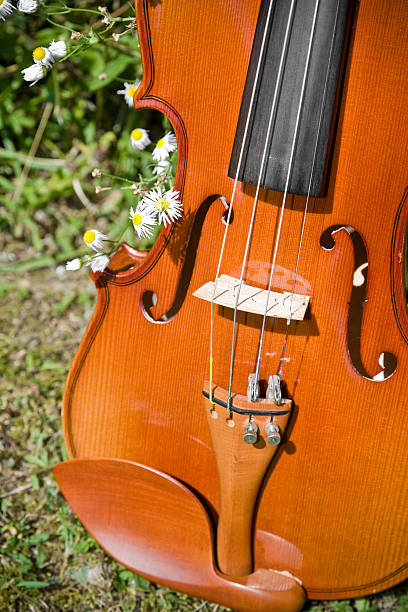 istock Violin close-up with flowers 180285095