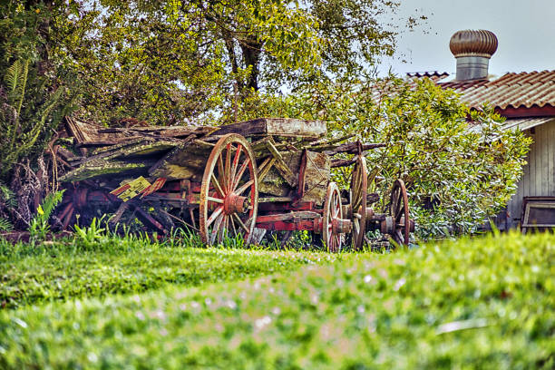 Wood logs on old cart at a farm