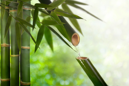 bamboo background nature pattern.