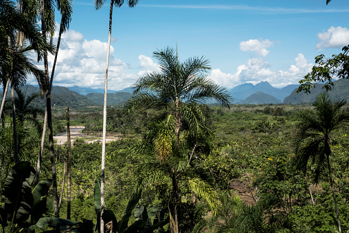 Peru rainforest in the Amazon with a fertile valley and mountains