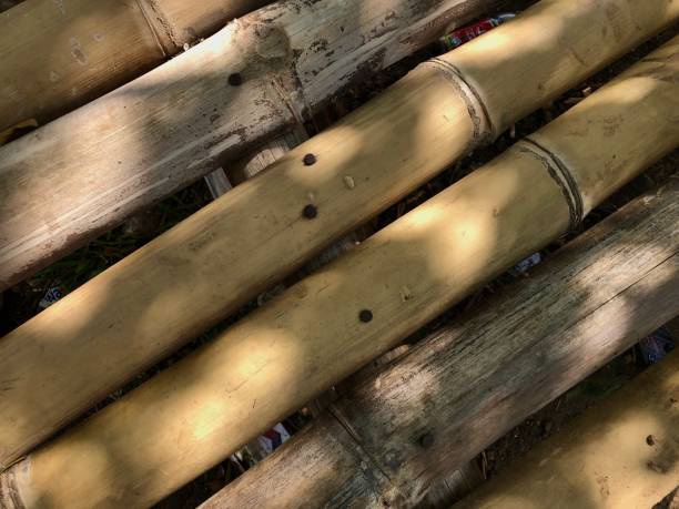 istock The texture of dry bamboo is composed 1802963674