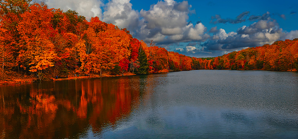 Fall stroll along Alum Creek lake