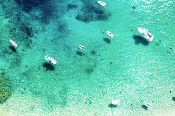 istock Tropical Mediterranean sea 1802978981