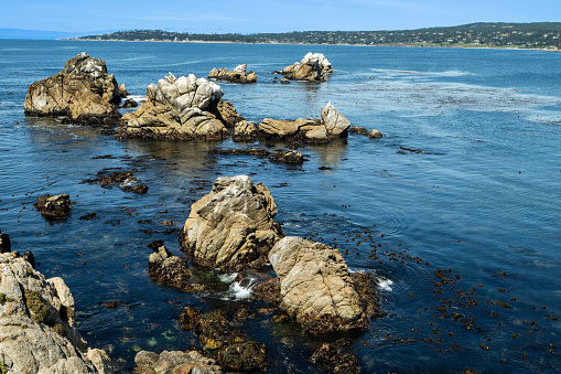 Wide view of rocky shore in Whaler's Cove, in Point Lobos State Park.\n\nTaken in Point Lobos State Park, California, USA