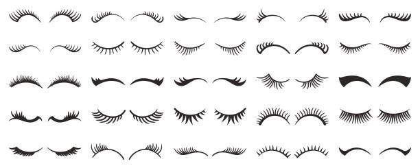 Eyelashes Collection Isolated On White Background. Stunning Array Of Various Lengths And Styles, Illustration, Set Eyelashes Collection Isolated On White Background. Stunning Array Of Various Lengths And Styles, Perfect For Enhancing Eyes Natural Beauty, Adding Allure And Elegance To Look. Vector Illustration, Set eyelash stock illustrations