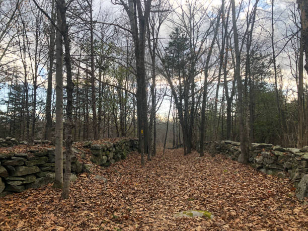 istock Path with Stone Walls at Joshua Trust in Chaplin, CT 1803017280