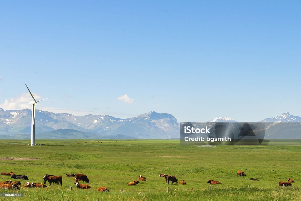 Alberta terreni agricoli - Foto stock royalty-free di Alberta