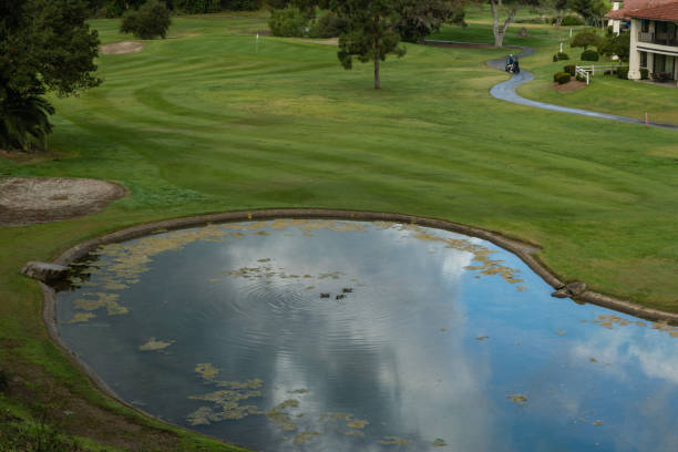 A panoramic view of a large, well-maintained green lawn leading to a calm pond with a small island of rocks and trees.