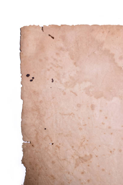 istock old vintage brown paper on white background, page for texture design 1803176420