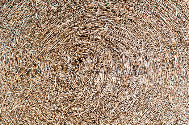 istock Detailed view of hay 180319372
