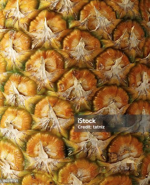 Dettaglio Ananas Closeup - Fotografie stock e altre immagini di Agrume - Agrume, Ananas, Buccia