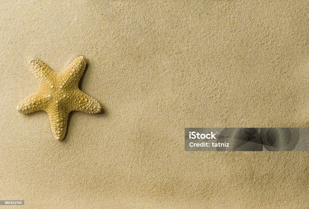 Étoile de mer sur la plage - Photo de Abstrait libre de droits