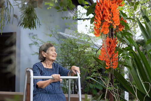 Smiling elderly woman in garden. Happy senior woman sitting on terrace with red jade vine flowers at home.