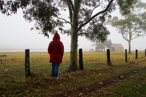 A lone woman looking out over farm paddocks covered in fog and mist. The field contains fences, a hut and gum trees