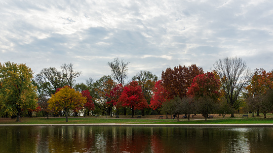 Fall foliage reflected on the pond at Constitution Gardens on the national mall in Washington, DC.