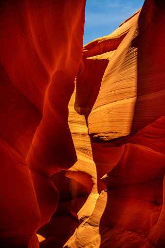 Nestled within the desert of Northern Arizona, Antelope Canyon exhibits the sheer beauty that nature can create. Famous for its lavish colors, unique patterns and complex textures, this slot canyon is a geological wonder that mesmerizes all who venture into its depths.  Carved into the red sandstone of the Navajo Nation, the canyon comes alive with a vibrant spectrum of reds, oranges, and yellows. The sunlight filtering through the narrow openings above casts an ever-changing, warm glow on the smooth, curving walls, creating a surreal play of shifting light and dancing shadows.  The rock formations within the canyon walls bear the unmistakable marks of time and weather. Millennia of wind and water erosion have sculpted the sandstone into flowing, sinuous shapes, creating a sensory experience that is as tactile as it is visual. Touching the canyon's surface connects a person directly to the forces of wind and water that have shaped it over countless millennia.  Antelope Canyon is in Coconino County near Page, Arizona, USA.