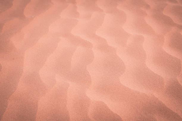 istock The background image of the sand texture created by the wind 1803281942