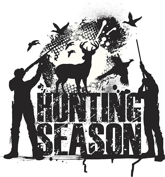ilustrações de stock, clip art, desenhos animados e ícones de estação de caça-pato, faisão, veados - hunting pheasant duck hunting bird